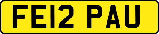 FE12PAU