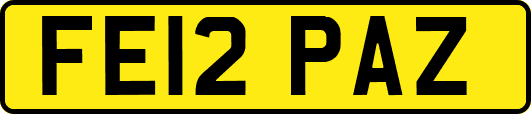 FE12PAZ