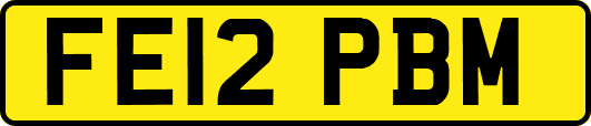 FE12PBM