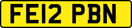 FE12PBN