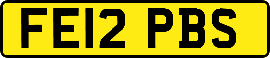 FE12PBS