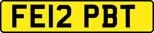 FE12PBT
