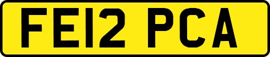FE12PCA