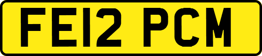 FE12PCM