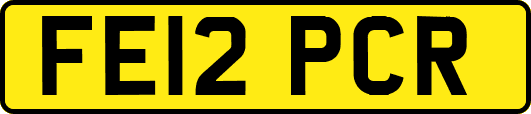FE12PCR