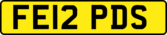 FE12PDS