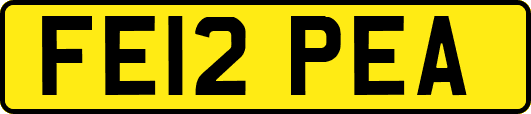 FE12PEA