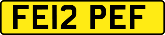 FE12PEF