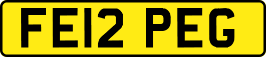 FE12PEG