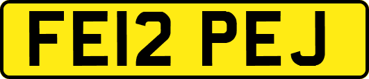 FE12PEJ