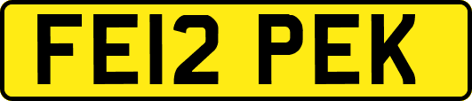 FE12PEK
