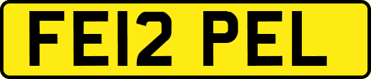FE12PEL