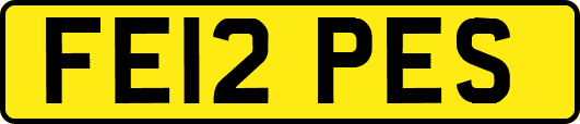 FE12PES