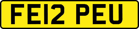 FE12PEU
