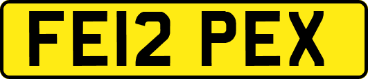 FE12PEX