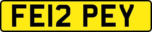 FE12PEY