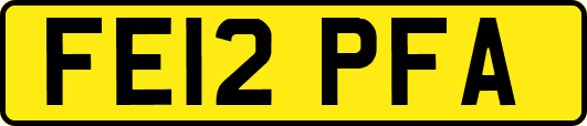 FE12PFA