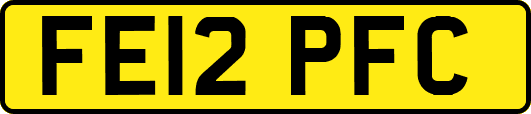 FE12PFC