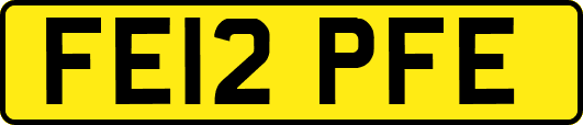 FE12PFE