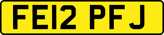 FE12PFJ