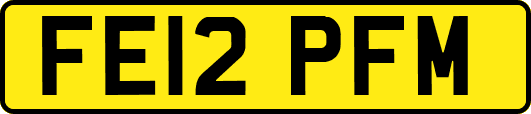 FE12PFM