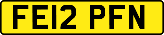 FE12PFN