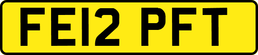 FE12PFT