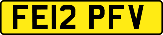 FE12PFV