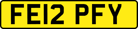 FE12PFY