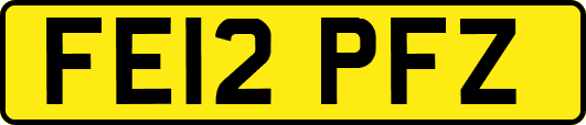 FE12PFZ