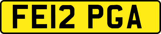 FE12PGA