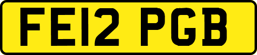 FE12PGB
