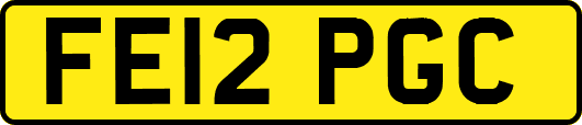 FE12PGC