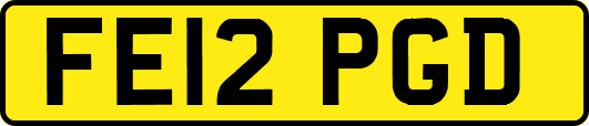 FE12PGD