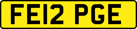 FE12PGE
