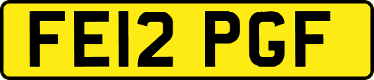FE12PGF