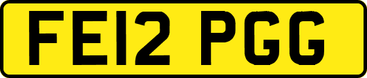 FE12PGG