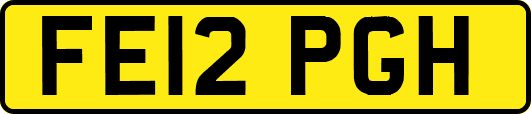 FE12PGH