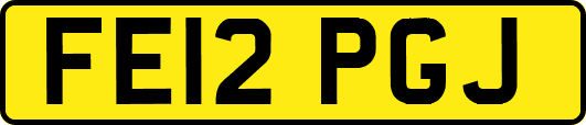 FE12PGJ