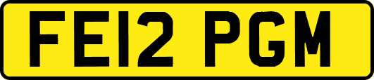 FE12PGM