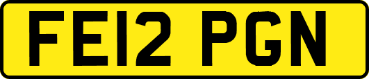 FE12PGN