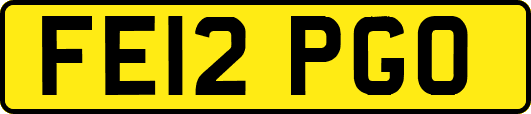 FE12PGO