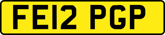 FE12PGP