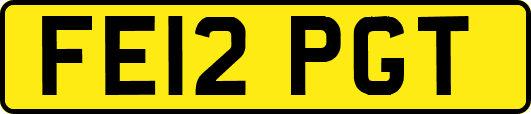 FE12PGT