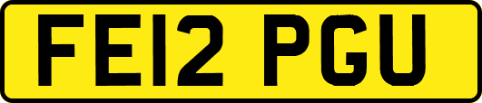 FE12PGU