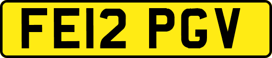 FE12PGV