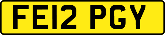 FE12PGY