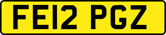 FE12PGZ