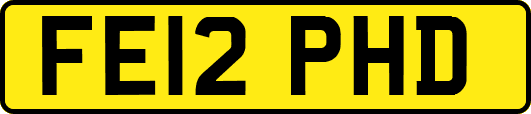 FE12PHD