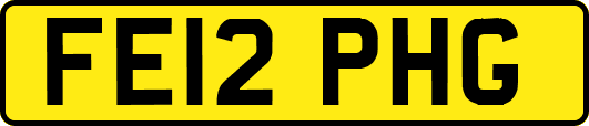 FE12PHG